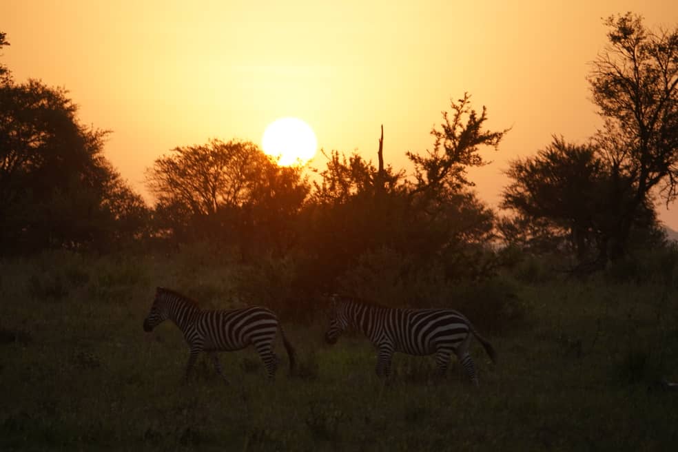 Beautful sunset at Serengeti National Park